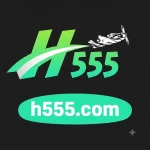 h555 game