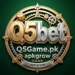 Q5Bet Game