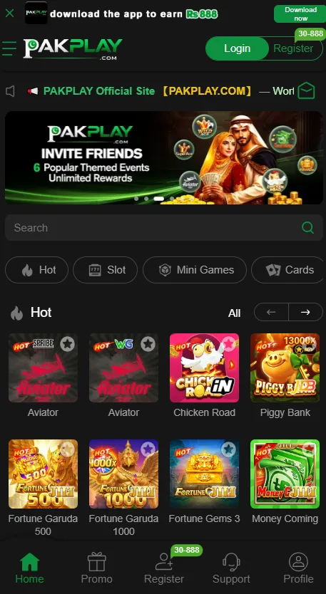 Pakplay Game